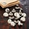 Metal Posts & Screws for Leather by ArtMinds™